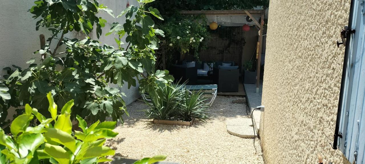 Studio Pour Location Vacances A La Semaine Avignon Exteriör bild